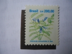 Stamps Brazil -  Flora - Jacaranda Mimosifolia D. Don
