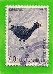 Stamps El Salvador -  Paujil