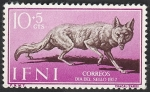Stamps Morocco -  Ifni - 138 - Canis aureus