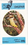 Stamps Oman -  AVE- kookaburra