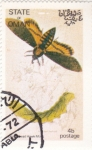 Stamps : Asia : Oman :  mariposa- metamorfosis
