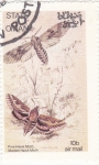Stamps : Asia : Oman :  mariposas
