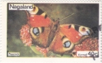 Stamps Asia - Nagaland -  mariposa