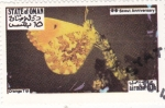 Stamps Oman -  mariposa