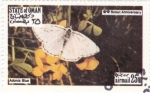 Stamps Oman -  mariposa