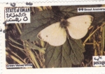 Stamps : Asia : Oman :  mariposa