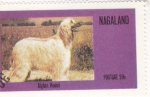 Stamps Nagaland -  Perro de raza-  sabueso afgano