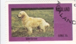 Stamps Nagaland -  Perro de raza- golden retriever