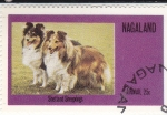 Stamps Nagaland -  Perros de raza- shetland sheepdogs