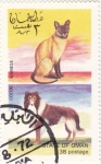 Stamps : Asia : Oman :  perro y gato de raza-