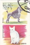 Sellos de Asia - Om�n -  perro y gato de raza-