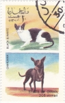 Stamps Oman -  perro y gato de raza-