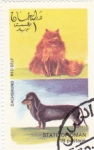 Stamps Oman -  perro y gato de raza-