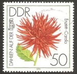 Stamps Germany -   2104 - Dalia enzett carolla