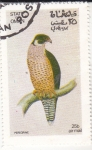 Stamps Oman -  AVE- alcón peregrino
