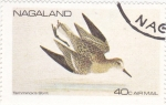 Stamps : Asia : Nagaland :  AVE-