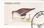 Stamps Asia - Nagaland -  AVE-