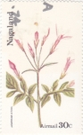 Stamps Asia - Nagaland -  FLORES-