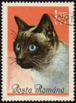 Stamps : Europe : Romania :  COL-GATO