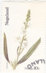Stamps Asia - Nagaland -  FLORES-