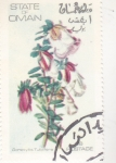 Stamps : Asia : Oman :  FLORES-