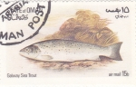 Stamps Oman -  PECES- trucha