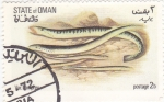 Stamps Oman -  PECES- anguila