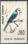 Stamps : Europe : Romania :   Birds 1993