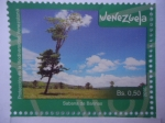 Stamps Venezuela -  Protección de la Biodiversidad Venezolana - Sabana de Barina.