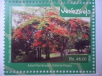 Stamps Venezuela -  Protección de la Biodiversidad Venezolana - Árbol Flanboyant (Delonix Regia)