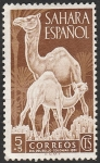 Stamps Morocco -  sahara español - 91 - Dromedarios