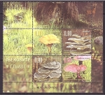 Stamps Europe - Bosnia Herzegovina -  Setas medicinales