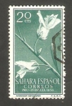 Stamps Morocco -  sahara español - 128 - Antirrhinum ramosissimum