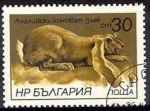 Stamps Bulgaria -  Liebres y conejos