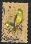 Stamps Barbados -  Pinzón amarillo del pastizal (Sicalis luteola)