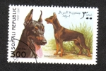 Sellos de Africa - Somalia -  Perros
