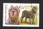 Stamps : Africa : Somalia :  Perros