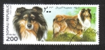 Sellos de Africa - Somalia -  Perros