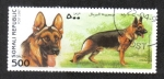 Sellos de Africa - Somalia -  Perros