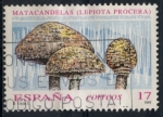Stamps Spain -  EDIFIL 3244 SCOTT 2701.02