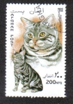 Stamps : Asia : Afghanistan :  Gatos Domésticos