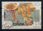 Sellos de Europa - Espa�a -  EDIFIL 3342 SCOTT 2804.02