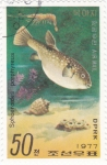 Stamps : Asia : North_Korea :  pez