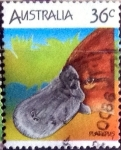 Sellos de Oceania - Australia -  Scott#992e ja intercambio, 0,55 usd, 36 cents.. 1986