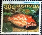 Stamps Australia -  Scott#908 intercambio, 0,20 usd, 30 cents. 1984
