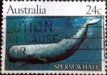Stamps Australia -  Scott#821 intercambio, 0,50 usd, 24 cents. 1982