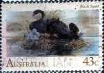 Stamps Australia -  Scott#1203 dm1g2 intercambio, 0,40 usd, 43 cents. 1991