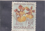 Stamps Nicaragua -  FLORES- CEBOLLETAS
