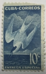Stamps : America : Cuba :  Ave