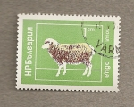 Stamps Bulgaria -  Animales domésticos: Oveja